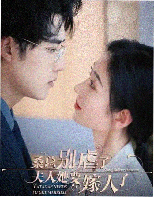 影视资讯 票房 在线观看成年人免费视频